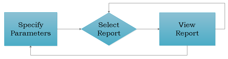 Report Workflow